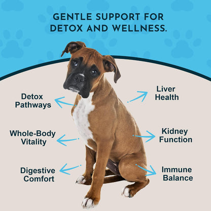 Detox Blend - Suplemento Hepático para Perros y Gatos, Fórmula Herbal Orgánica, Recomendado por Veterinarios, 1 oz – Image 3
