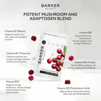Gominolas de Complejo B Barker Wellness – Energía y Metabolismo, Sin Azúcar