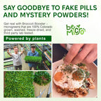 BeMicro Microgreens de Brócoli - Potenciador Nutricional, Activación Nrf2, 5g