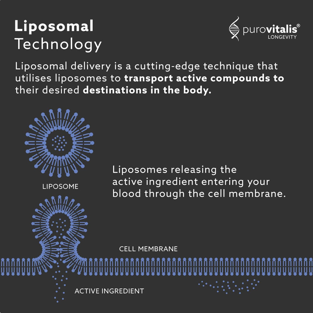 PUROVITALIS Spermidina Liposomal 5mg con Zinc, Vitamina D3 y B12 - 30 Cápsulas Veganas