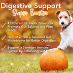 iHeartDogs Pupkin Probióticos, Prebióticos, Postbióticos y Fibra para Perros con Calabaza, Caldo de Huesos y Setas