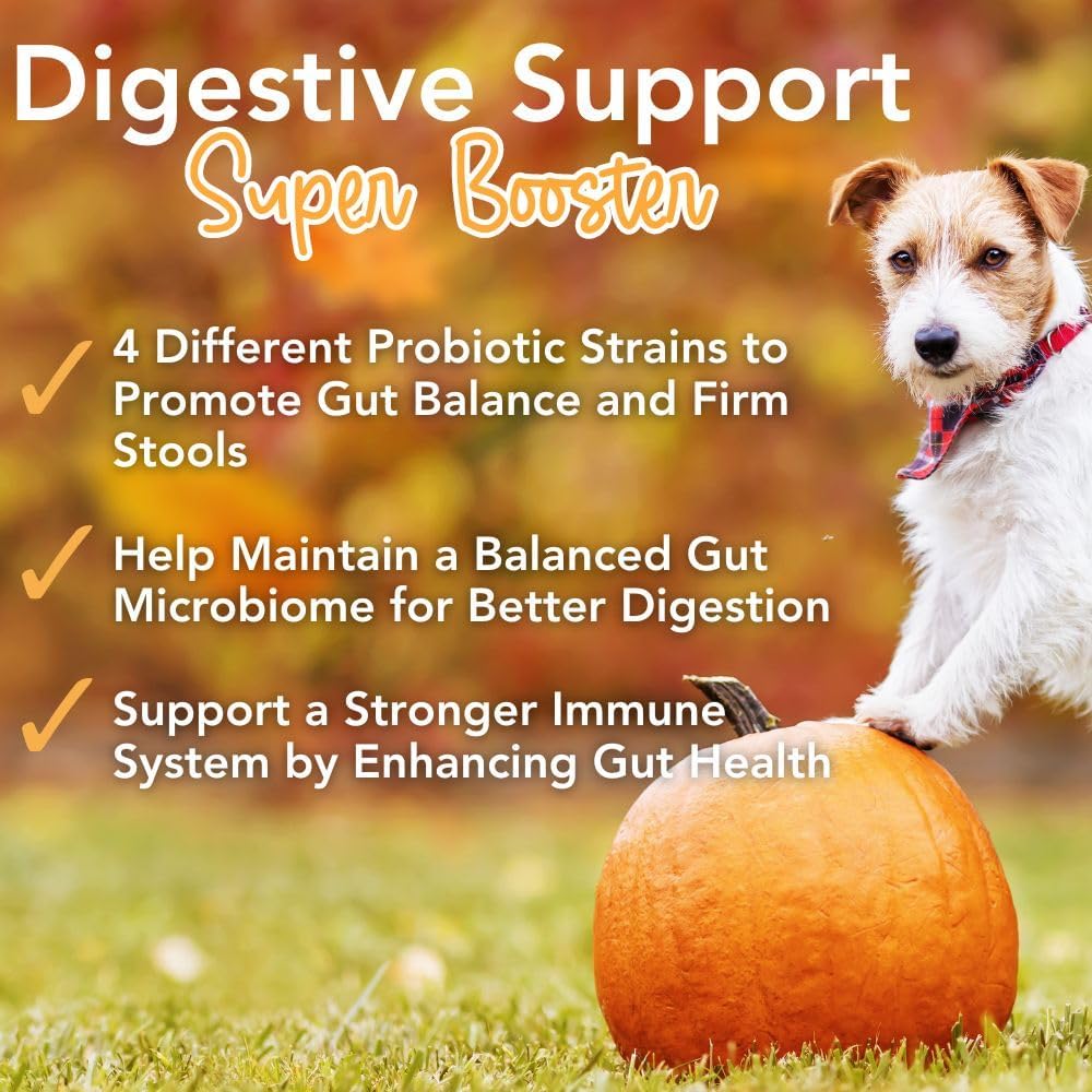 iHeartDogs Pupkin Probióticos, Prebióticos, Postbióticos y Fibra para Perros con Calabaza, Caldo de Huesos y Setas