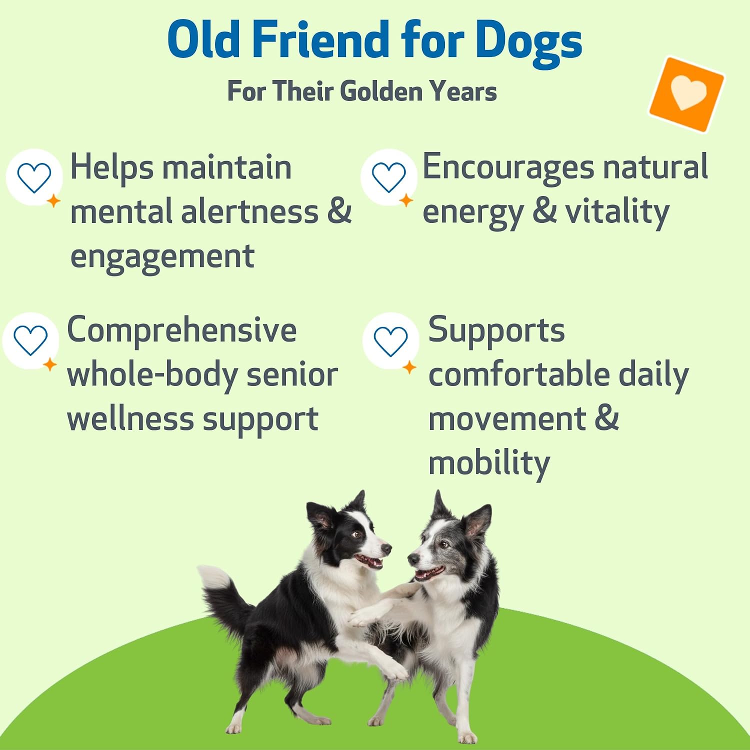 Pet Wellbeing Old Friend para Perros Senior - Suplemento Herbal para la Salud Inmunológica, Movilidad Articular y Niveles de Energía - 59 ml