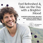 Neurobiologix Neuro Calm & Rebalance - Complejo de L-teanina, Magnesio, Zinc y Kava Kava - 60 Cápsulas