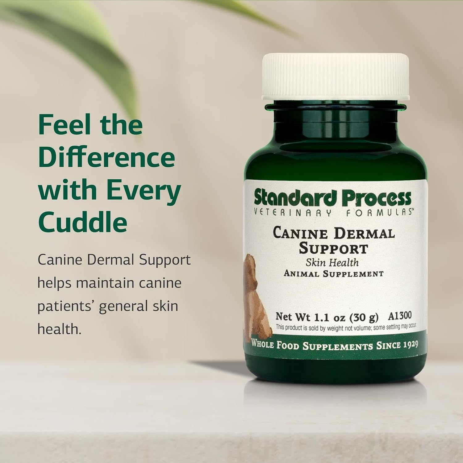 Standard Process Canine Dermal Support - 30 g