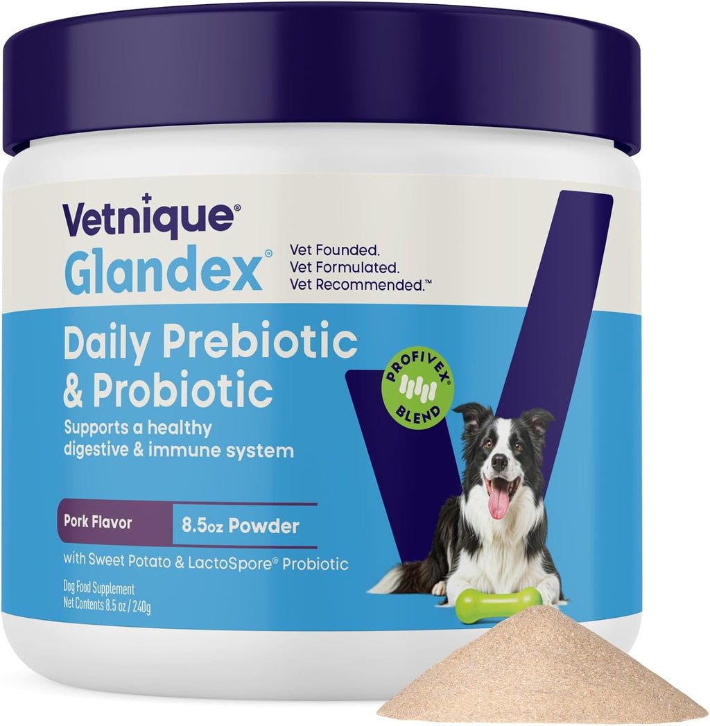 Vetnique Glandex Probióticos Masticables para Perros con 5 Cepas, Prebióticos y Enzimas Digestivas - 120 masticables
