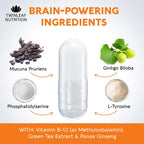 TWINLEAF NUTRITION Suplemento de Apoyo Cerebral, 1000 mg - con DMAE, Vitamina B12 y L-Tirosina - 60 Cápsulas