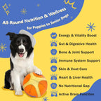 NATURE TARGET Multivitamínico para Perros, 12 en 1, Liofilizado, Sabor Pollo - 120 Unidades