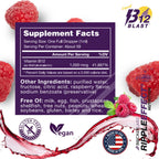 Bricker Labs B12 Blast Metilcobalamina 1000mcg - Suplemento Líquido Sublingual de Vitamina B12, Vegano, 59 Dosis