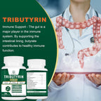 Suplemento de Tributirina - Precursor de Butirato para el Soporte de la Barrera Intestinal, 60 Cápsulas