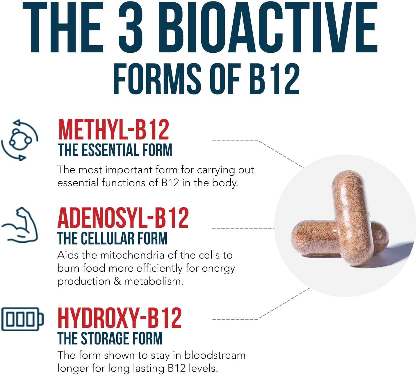 Triquetra Health BioActive Vitamin B12 - 5000 mcg con 3 Formas Bioactivas y Metilfolato