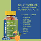 Noor Vitamins Gomitas Multivitamínicas Halal para Adultos con Mezcla de Frutas Orgánicas - 90 Unidades