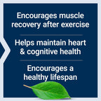 Life Extension Taurina, 1000 mg, 180 Cápsulas Vegetales