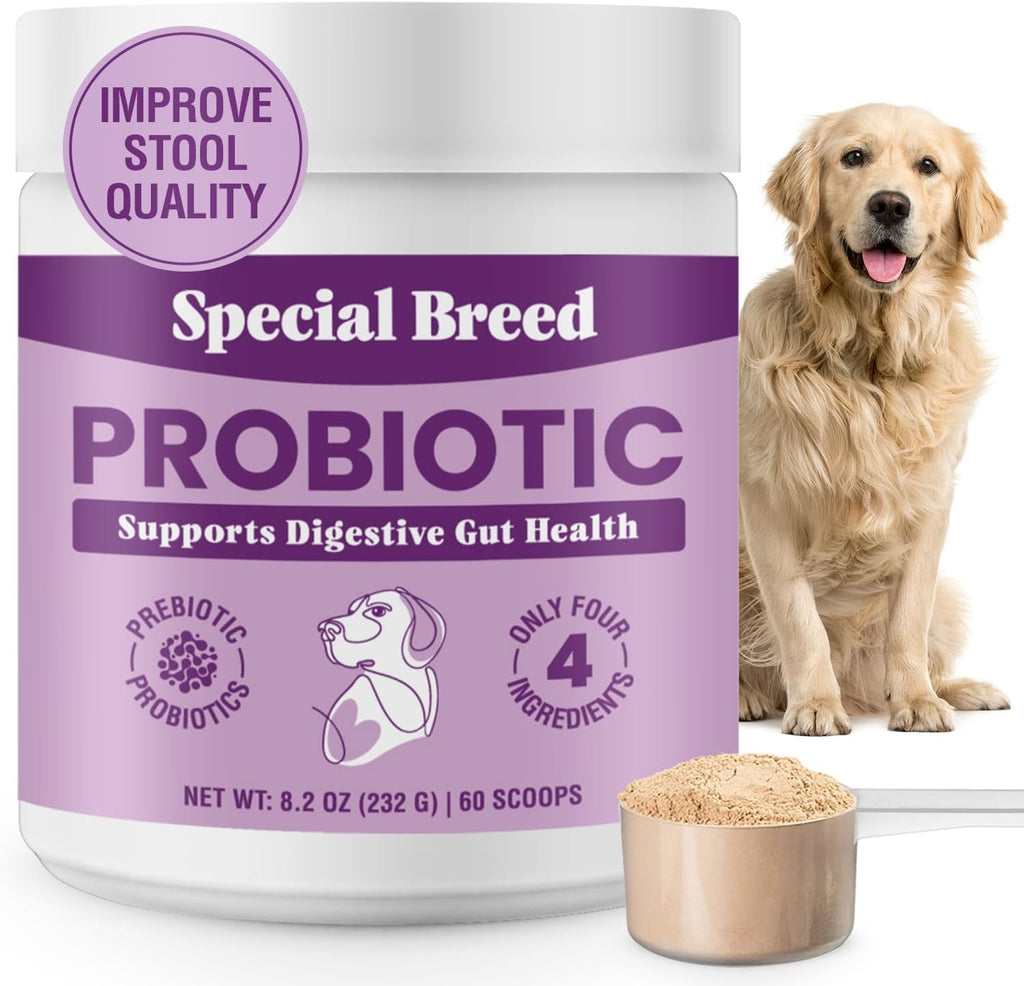 Probióticos para Perros en Polvo con 6 mil millones de UFC, Prebióticos y Enzimas Digestivas - Salud Digestiva e Inmune - 60 Dosis