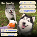 Furevery Multivitamínico para Perros 11-en-1 – 60 Masticables sabor a Pollo