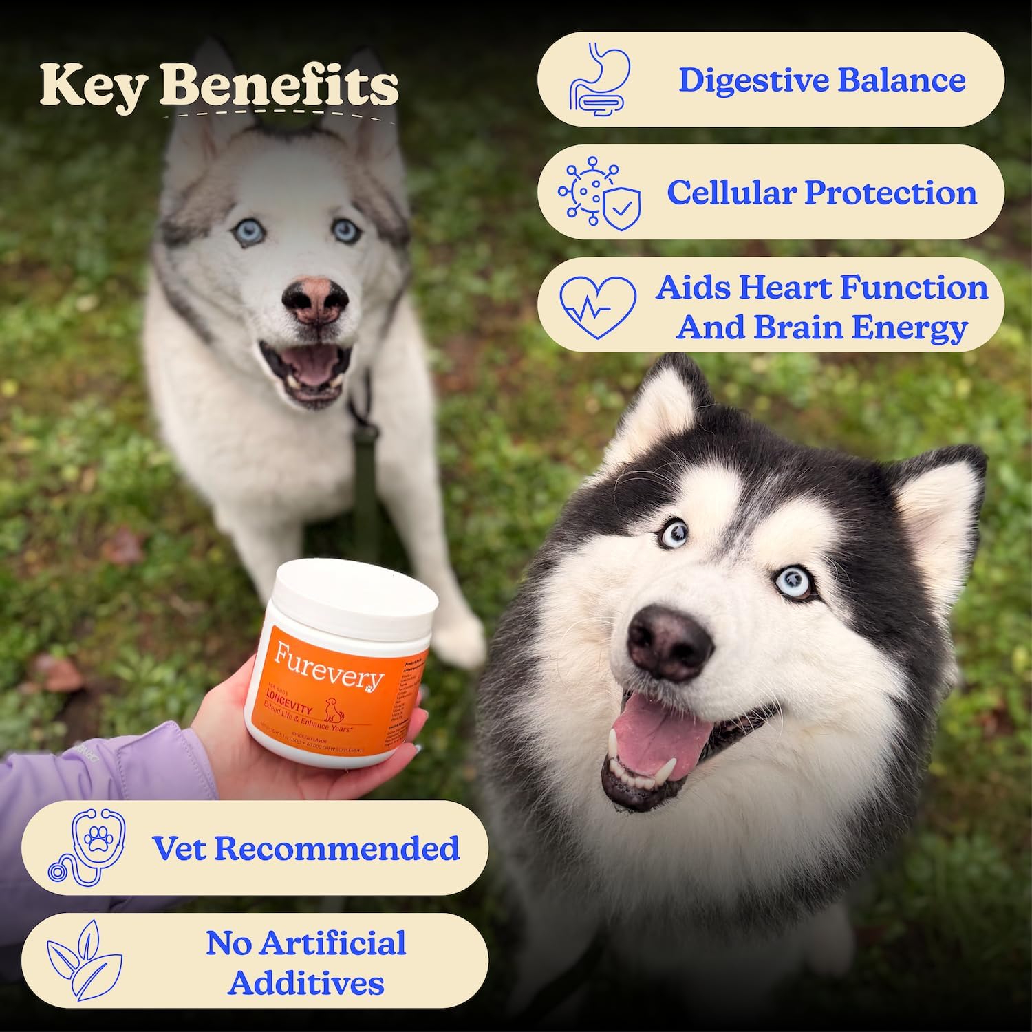 Furevery Multivitamínico para Perros 11-en-1 – 60 Masticables sabor a Pollo