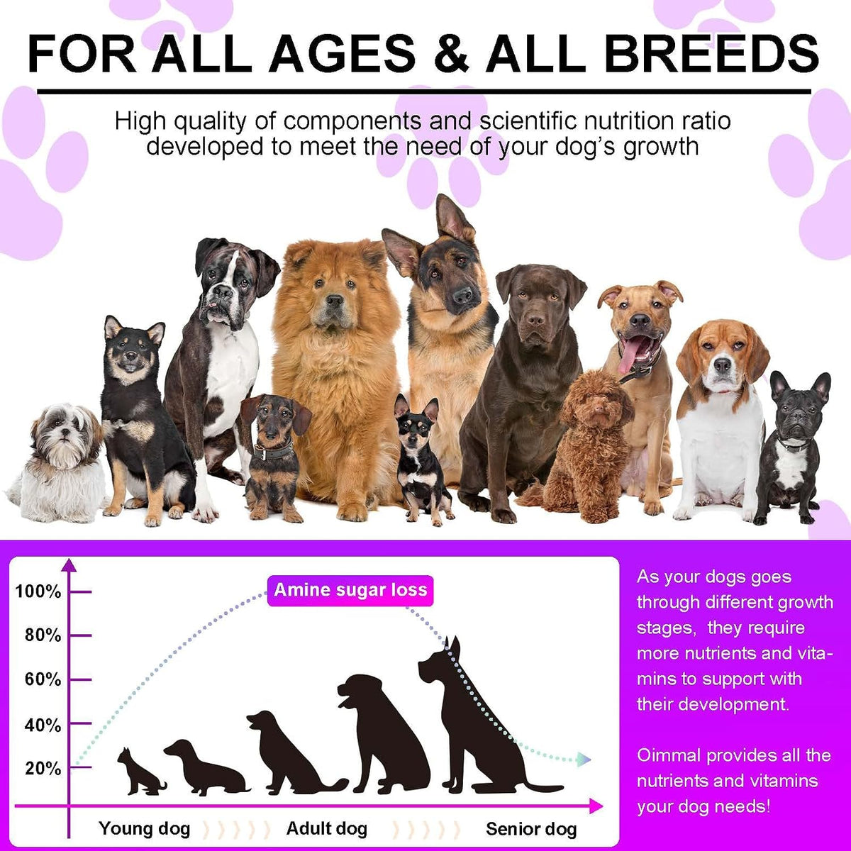 15-in-1 Multivitamínico para Perros con Glucosamina y Probióticos - Masticables Naturales Sabor Pato, 150 Piezas - görsel 4