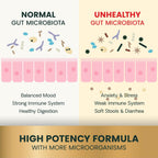 VetriScience Extra Strength Gut Health - Probiótico y Prebiótico para Perros y Gatos - 180 Cápsulas