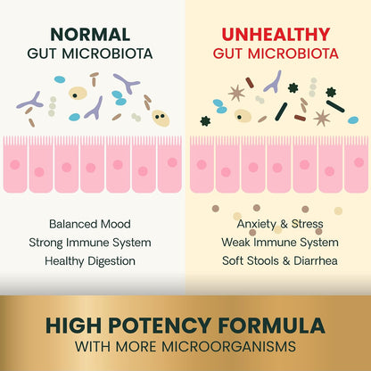 VetriScience Extra Strength Gut Health - Probiótico y Prebiótico para Perros y Gatos - 180 Cápsulas – Image 5