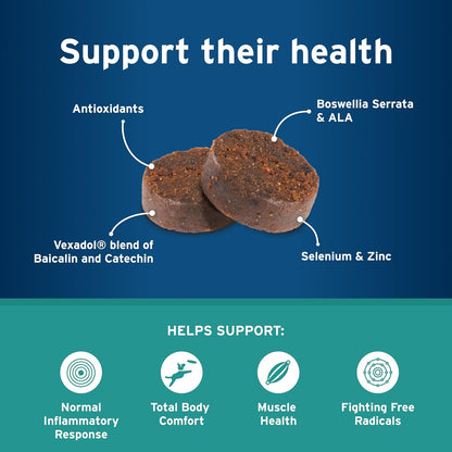 Pet Protect Suplemento Body Comfort+ para Perros, Formulado por Veterinarios con Alenza, Apoya la Respuesta Inflamatoria – Image 5