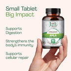 Just Jaivik Organic Amla Tablets - 750 mg (90 Comprimidos)