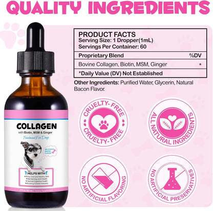 Colágeno Líquido para Perros con Biotina, – Jengibre: Extracto de raíz de jengibre, rico en gingeroles y shogaoles – Image 4