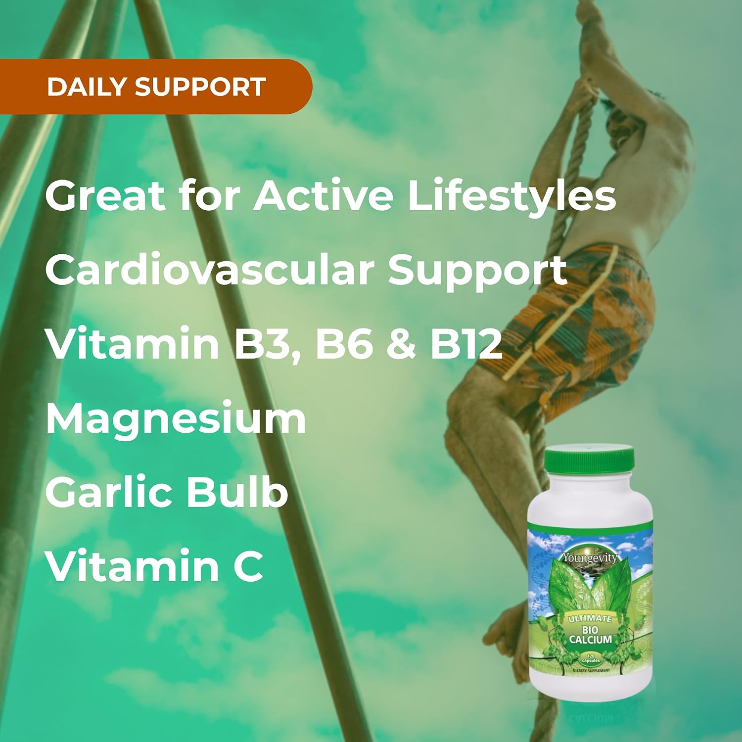 Cardiovascular Support Cardio FX - 60 Cápsulas