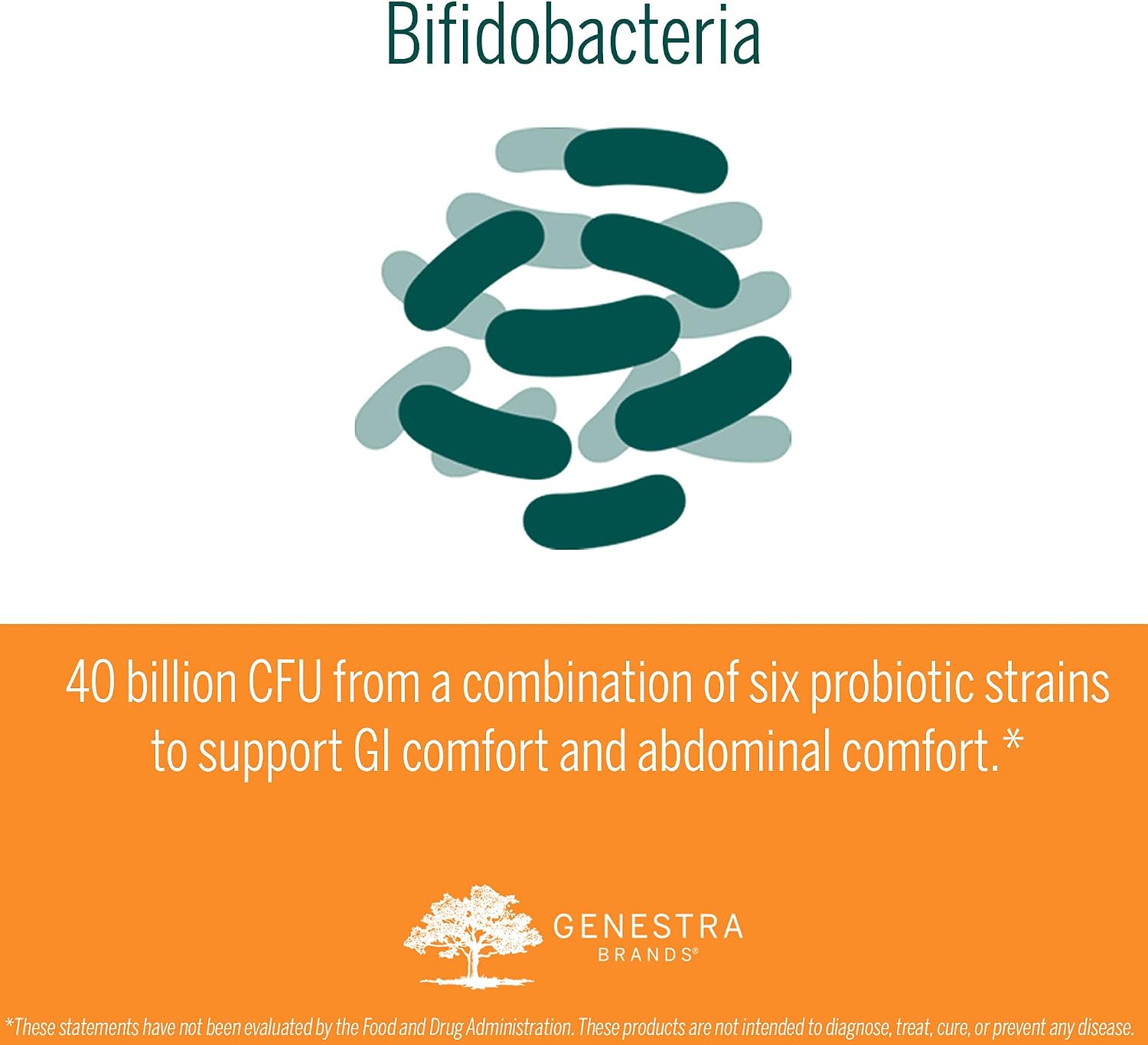 Genestra Brands HMF Bifido Cápsulas | Salud Gastrointestinal, Confort Abdominal y Apoyo a la Microflora | 30 Cápsulas