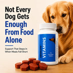 Drools Absolute Vitamin Tablet - Suplemento Multivitamínico para Perros, 110 Comprimidos