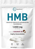 HMB 1.000 mg | 240 Cápsulas Blandas con Aceite de Coco | Alta Biodisponibilidad | Suplemento HMB para Hombres y Mujeres | Beta-Hidroxi Beta-Metilbutirato Cálcico | Apoya la Masa Muscular Magra y la Recuperación Muscular