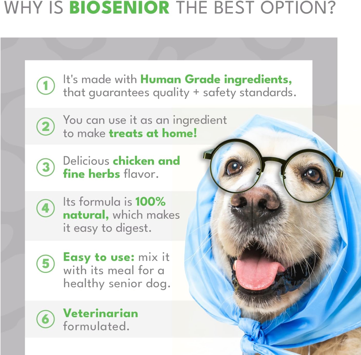 BIOSENIOR de Natural Pet by FNL: Suplemento Completo con Vitaminas y Minerales Esenciales para Perros Mayores de 7 Años