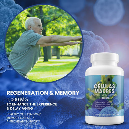 4 Células Madres AFA Stem Natural Cell - 60 Cápsulas - 1.000 mg - Alga Verde Azul - Sin OMG - Sin Gluten