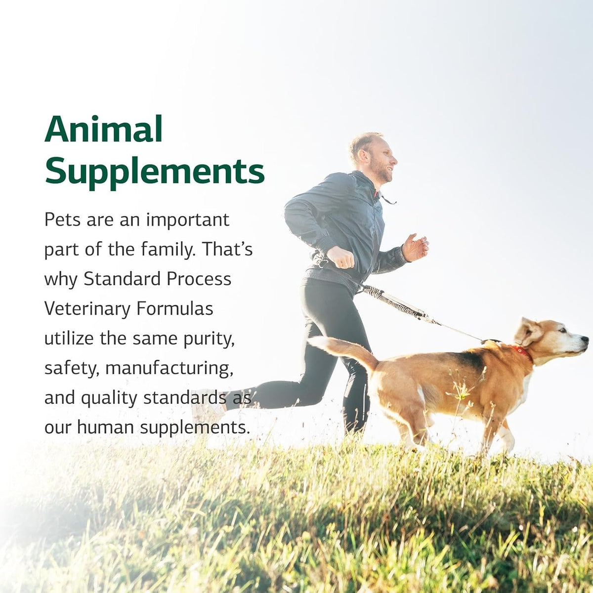 Standard Process Inc. Canine Cardiac Support - Suplemento para la salud cardíaca de perros con selenio - 25 g – Image 6