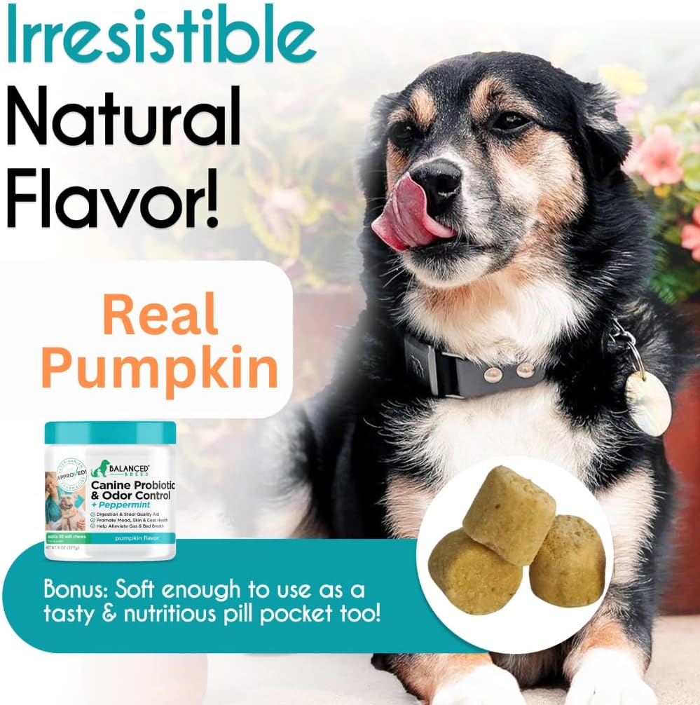 Balanced Breed Probióticos para Perros con Enzimas Digestivas