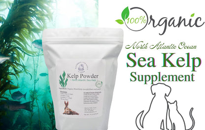 Natures Vitality Farms Polvo de Algas – Vitamina K: importante para la coagulación sanguínea. – Image 2