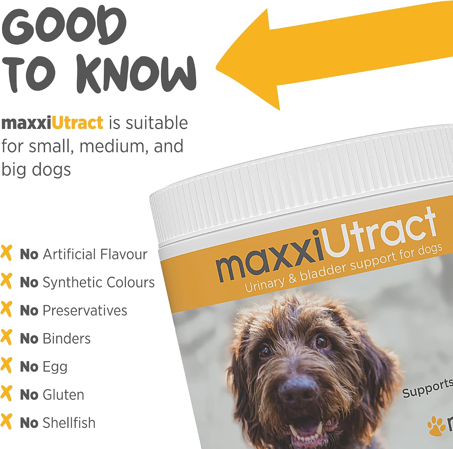 maxxiUtract Apoyo Urinario y Vesical para Perros - Suplemento Natural en Polvo con D-Manosa y Arándano - 150 g