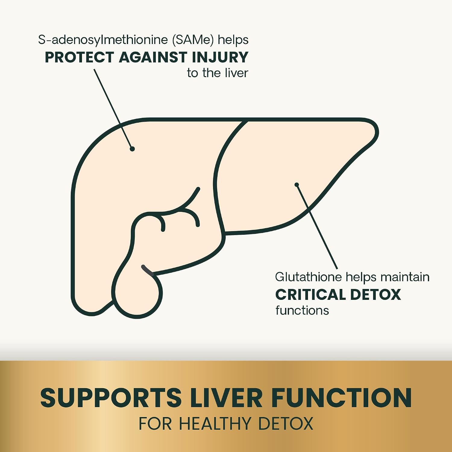 VetriScience SAMe Liver Health Tablets 225 mg – Suplemento Hepático para Perros Medianos y Grandes (30 comprimidos)