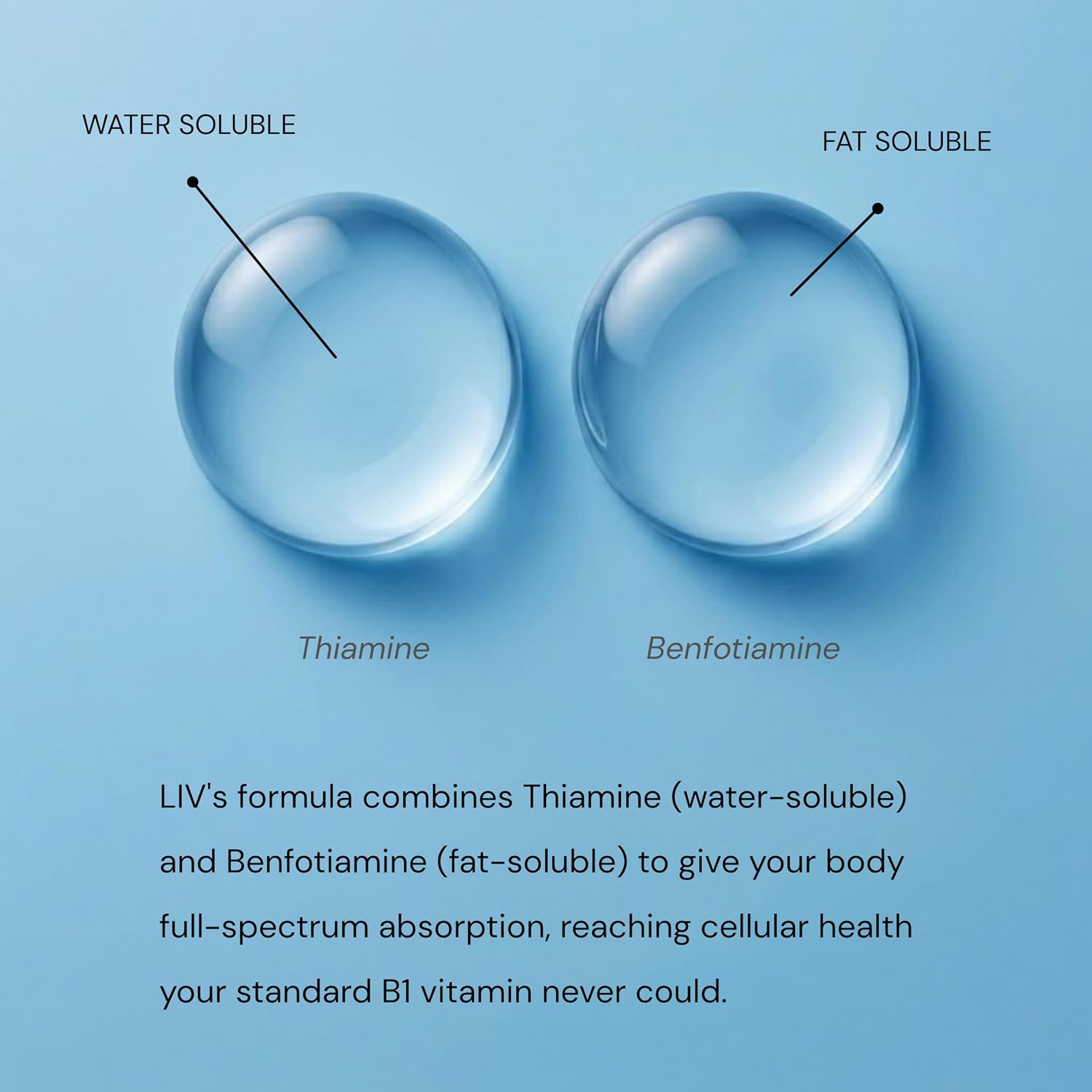 LIV Vitamina B1 Líquida – Tiamina y Benfotiamina para el Metabolismo y el Sistema Nervioso – 60 mL
