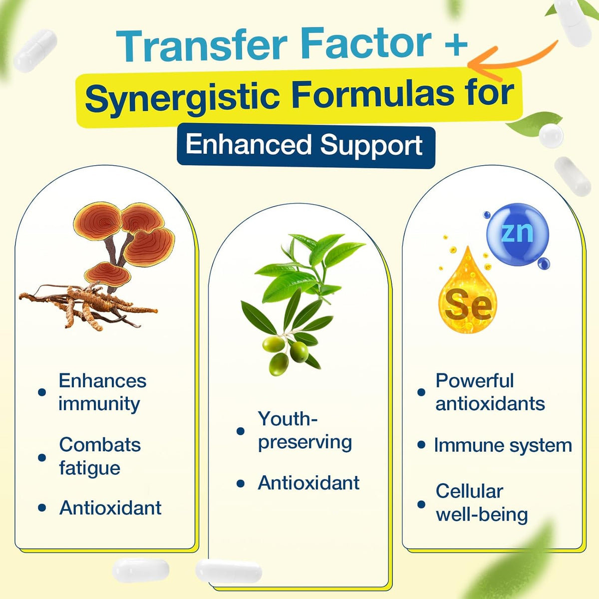 Meliorantheris Transfer Factor 1800mg | Colostrum & Egg Yolk Extracts con Zinc y Selenio | Apoyo Inmunitario y Cognitivo | 90 Cápsulas - görsel 4