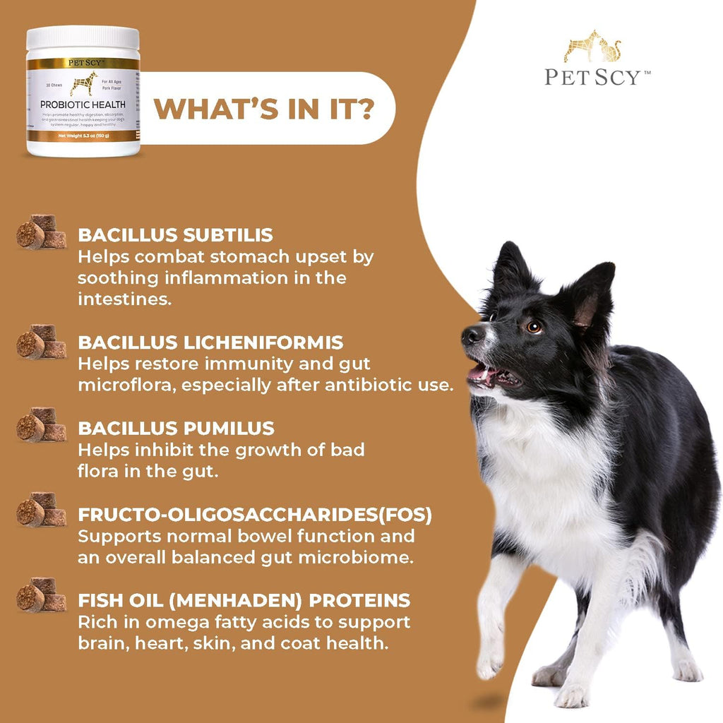 Probióticos en Masticables para Perros - PetScy - 30 Chews