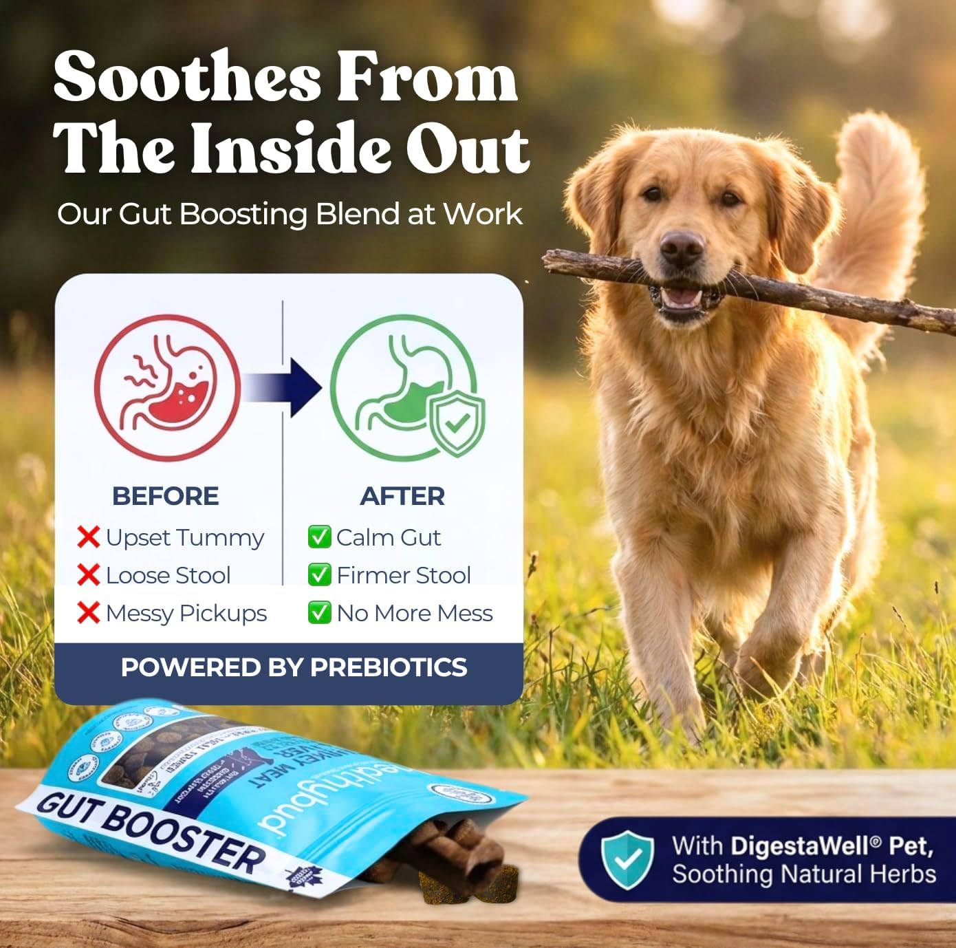 Healthybud Masticables Probióticos para Perros – Salud Digestiva e Intestinal – Con Prebióticos, Fibra, Calabaza y Boniato – Alivio para Estómagos Sensibles (130g)