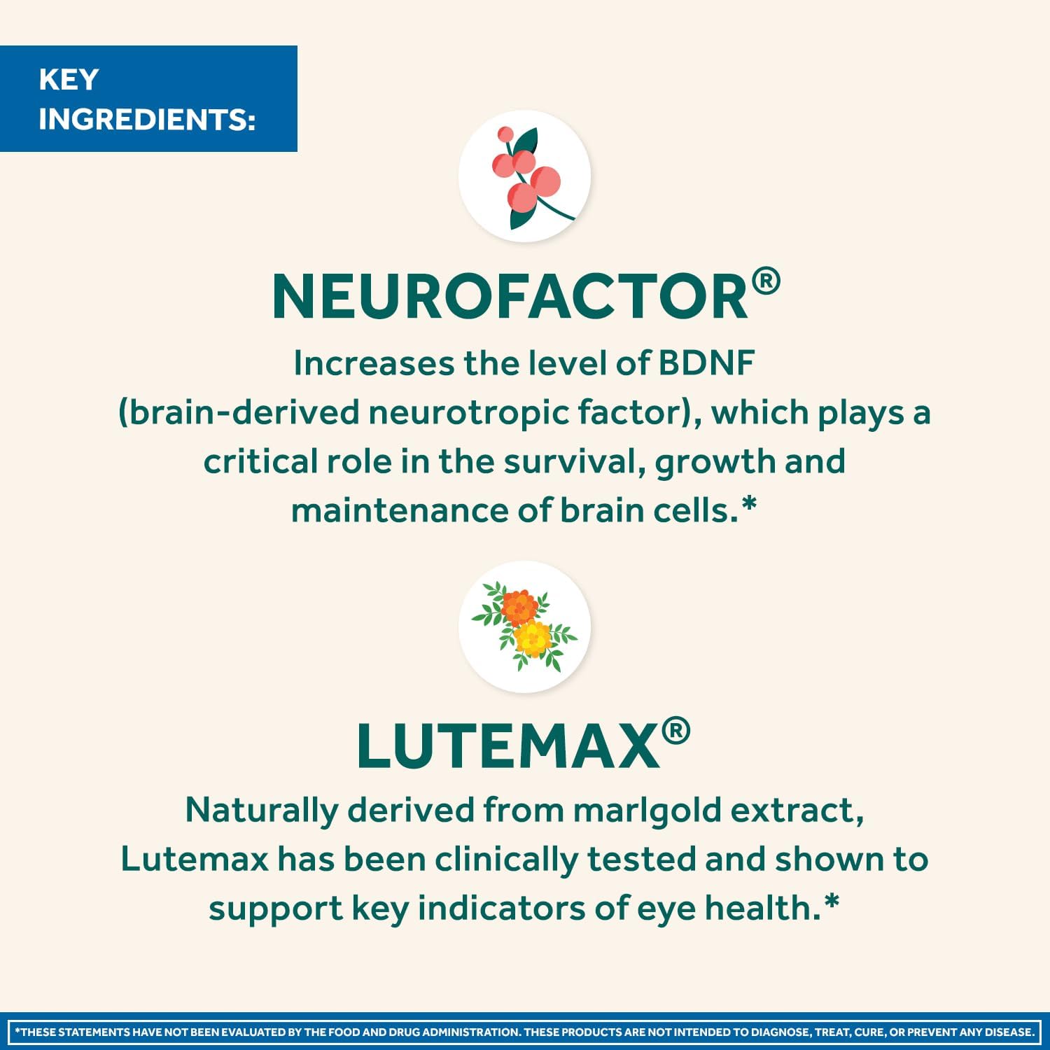 NEURIVA Brain + Eye Complemento para Cerebro y Ojos con Luteína, Zeaxantina, Vitaminas A, C, E y Zinc, 30 Cápsulas (2 Unidades)