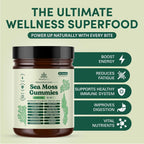 Natural Rems Sea Moss Gummies 16-in-1 - Ashwagandha Black Seed Oil Bladder Wrack Turmeric Vitamin C & D3 with Manuka Burdock Root Dandelion Yellow Dock Elderberry Apple Cider Vinegar (Green Apple)