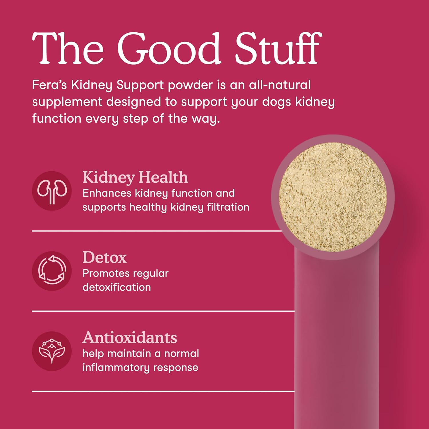 Fera Pets Dog Kidney Support con Probióticos para Perros - Polvo, 60 Dosis