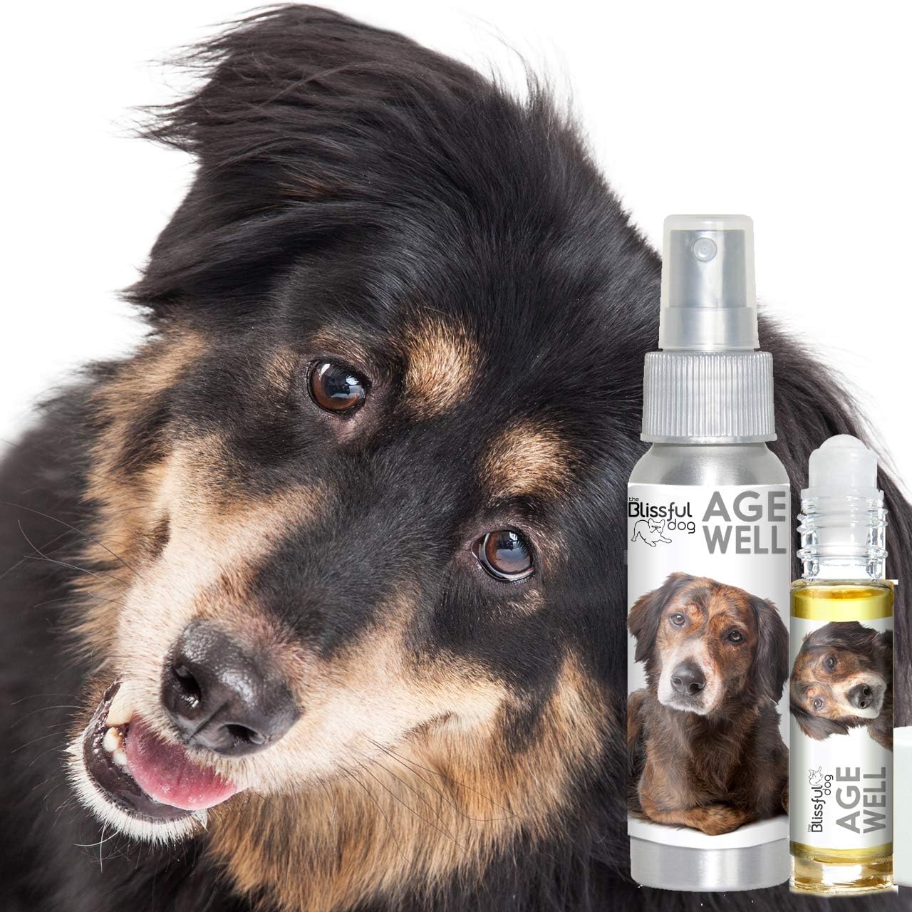 The Blissful Dog Spray de Aromaterapia Age Well para Perros de Raza Mixta (78 ml)