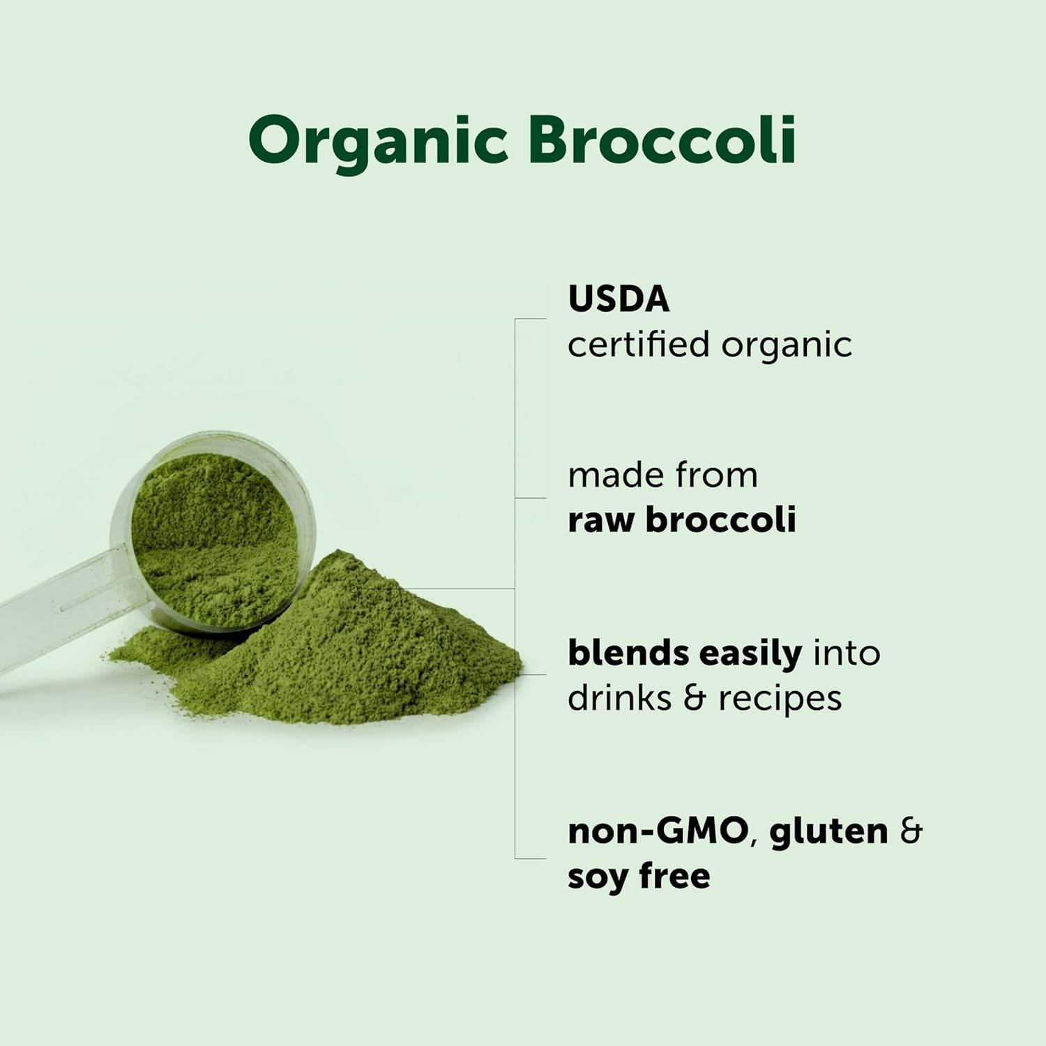Micro Ingredients Polvo de Brócoli Orgánico, 454 g | Brócoli Crudo en Polvo | para Batidos, Bebidas y Recetas | Ecológico, Sin OMG, Sin Gluten, Vegano