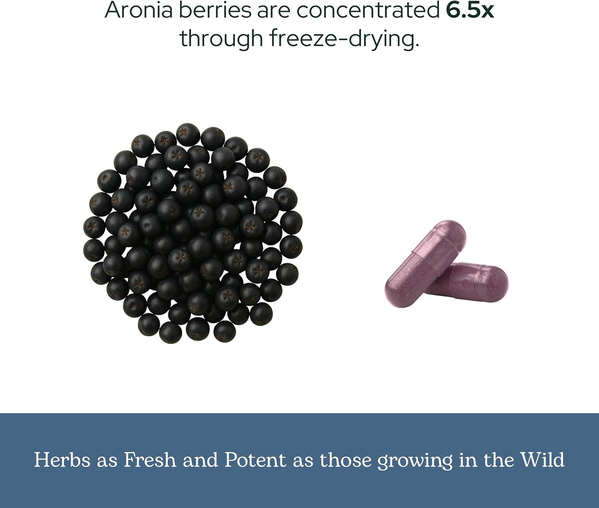 Eclectic Institute Cápsulas de Aronia Orgánica Liofilizada Cruda - 90 Cápsulas (450 mg) – Image 6