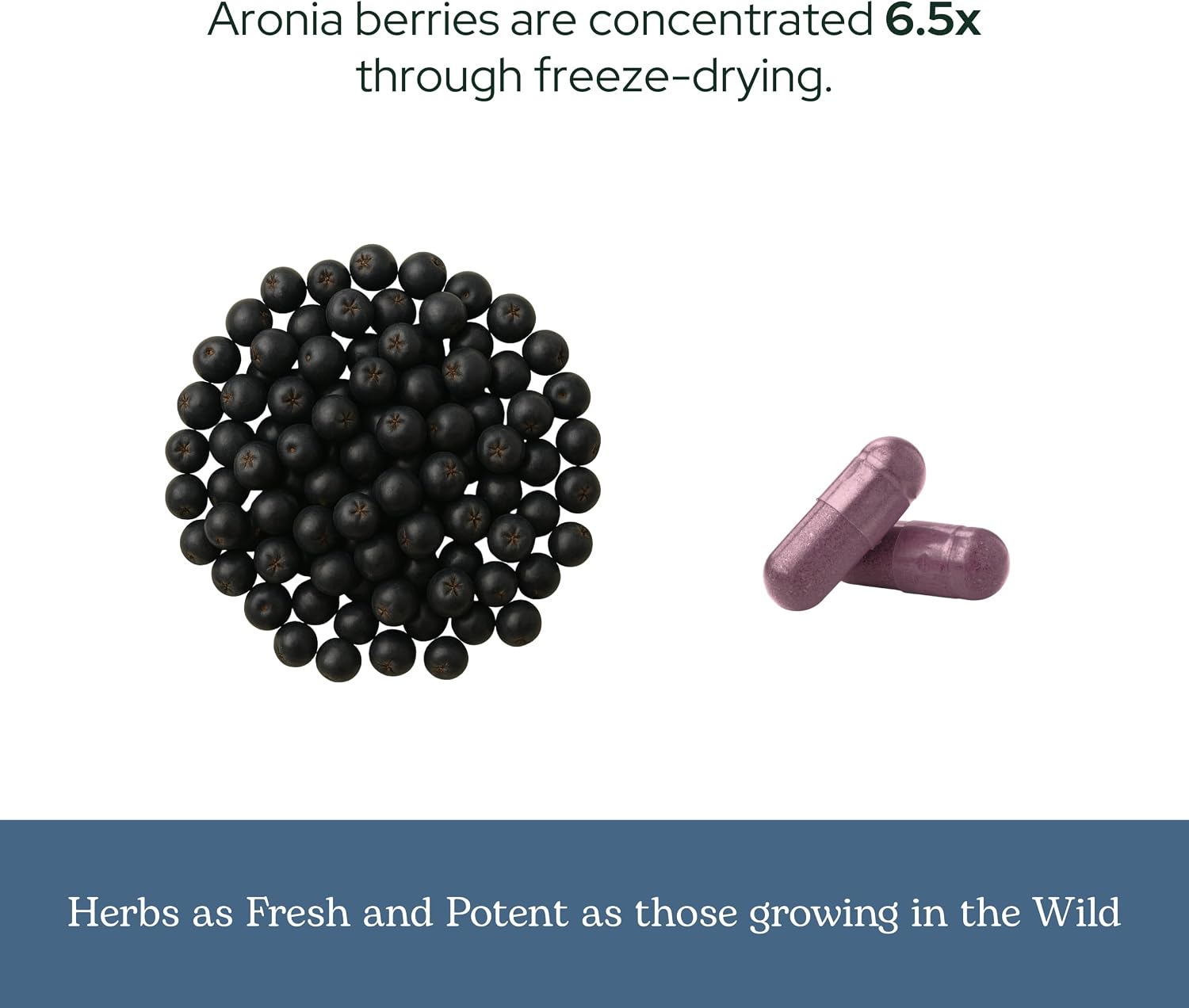 Eclectic Institute Cápsulas de Aronia Orgánica Liofilizada Cruda - 90 Cápsulas (450 mg)