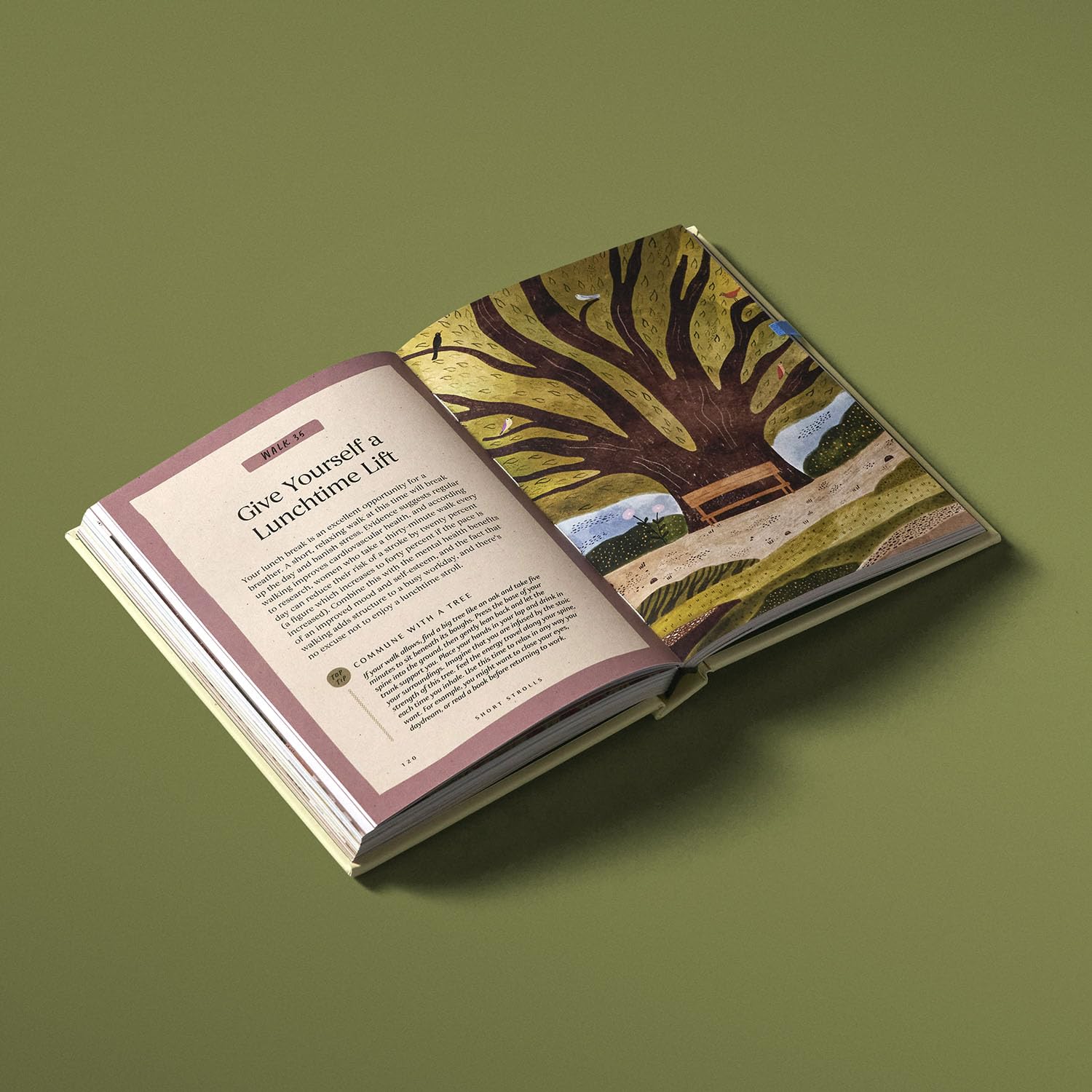 La sabiduría de caminar por la naturaleza: 50 formas conscientes y terapéuticas de disfrutar cualquier paseo