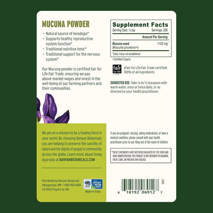 Banyan Botanicals Kapikacchu Powder, 1/2 – Apoyar la función neuromuscular saludable.* – Image 2